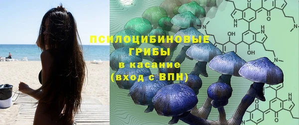 мескалин Баксан