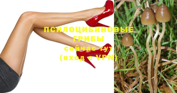 мяу мяу мука Балахна