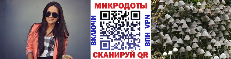 Псилоцибиновые грибы мухоморы  Нижняя Тура 
